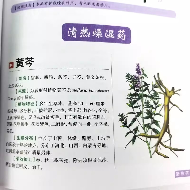 The Ancient Herbarium Holistic - Wellness Herbal Medicine ulasan dan harga
